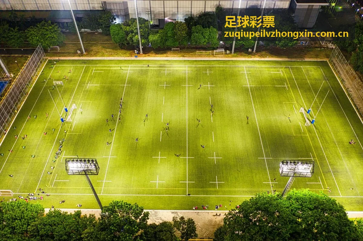 足球彩票赔率分析